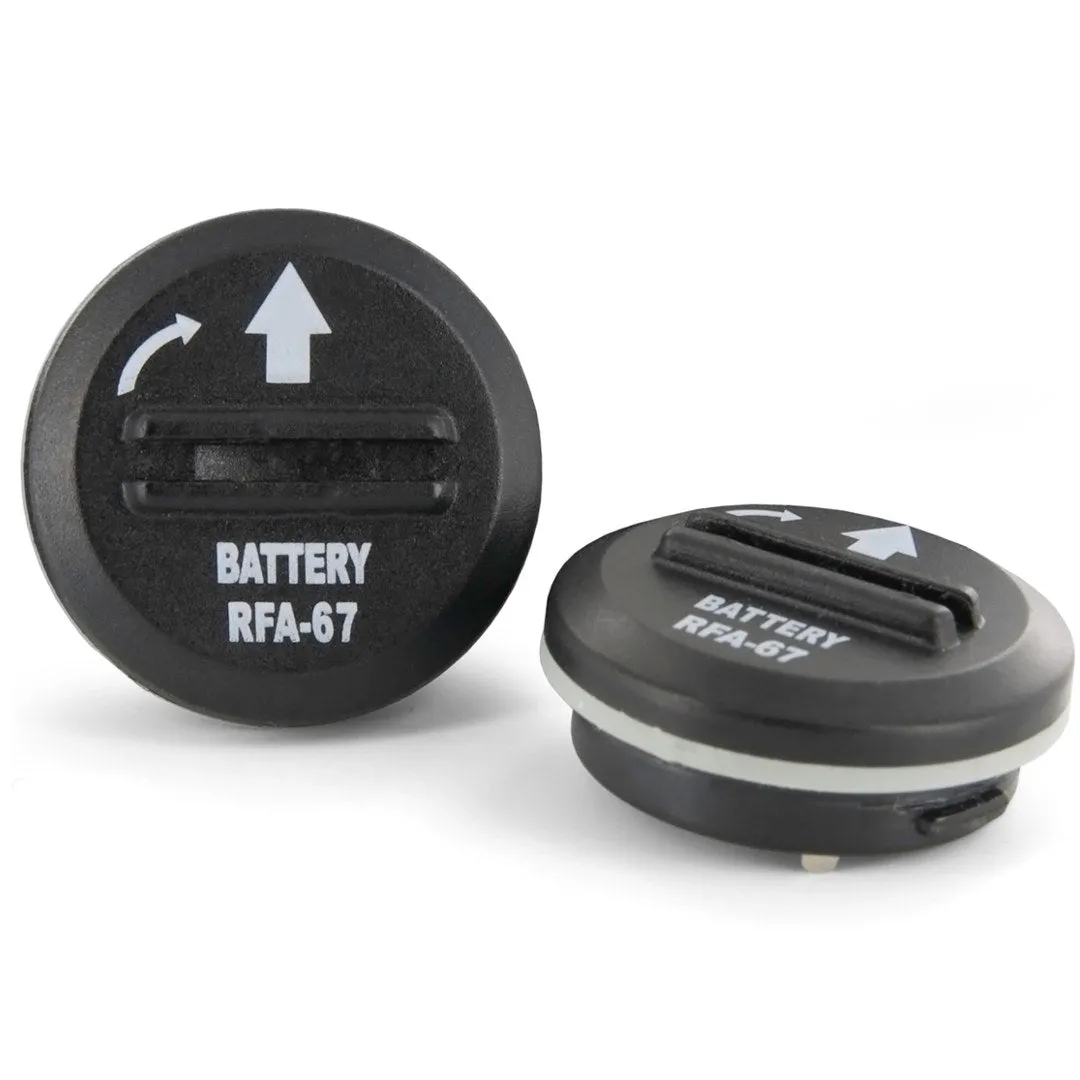 6 Volt Lithium Battery (2-Pack)