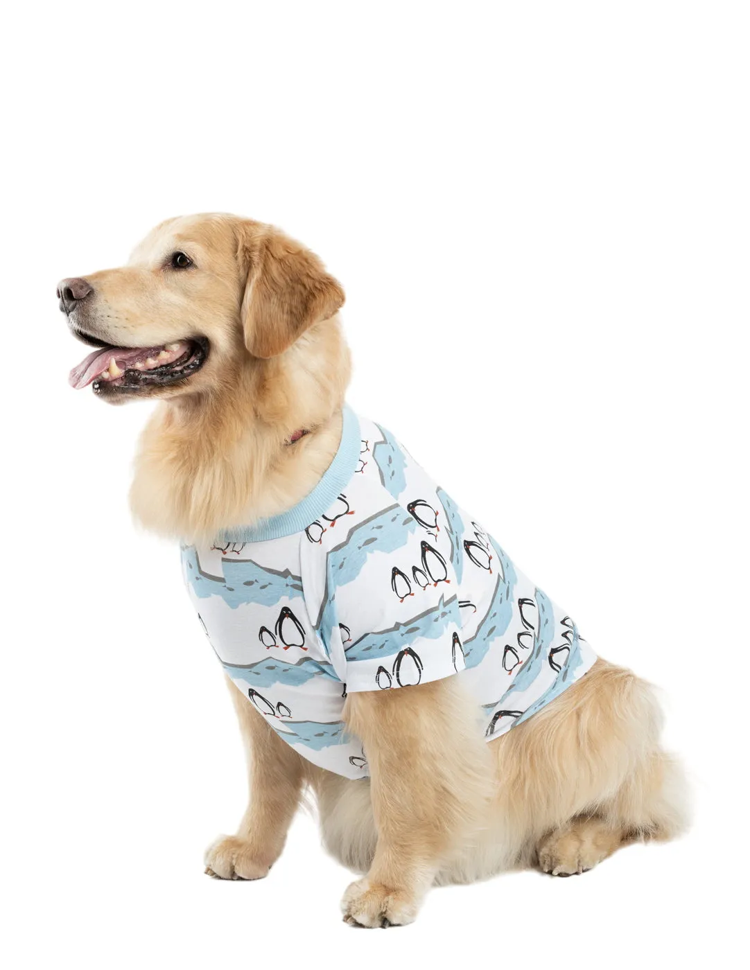 Big Dog Penguin Pajamas