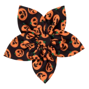 Collar Flower | Jack-O-Lanterns