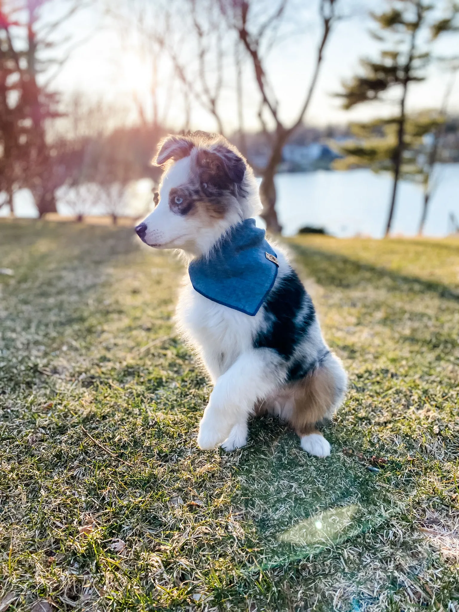 Handmade Stonewashed Linen Pet Bandana