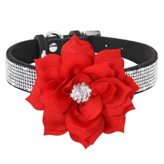 PetAffairs Rhinestone Pet Collar with Flower for Pet