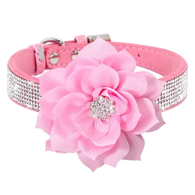 PetAffairs Rhinestone Pet Collar with Flower for Pet