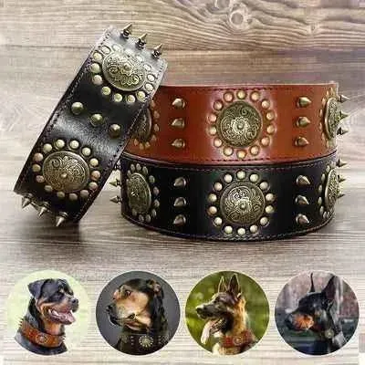 Regal Paws Rugged Chic Leather Dog Collar