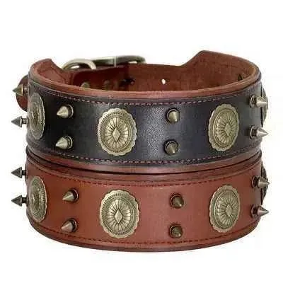 Regal Paws Rugged Chic Leather Dog Collar