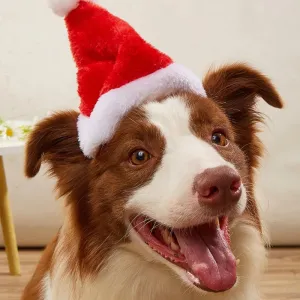 Santa Hat For Small-Medium Dogs