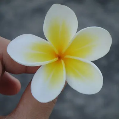 Summer Style Sunny Bright Plumeria  Flower Foam Hair Clips 3 Sizes Barrettes Headwear Hair Accessories for Girls Kids Women